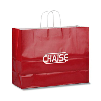 Recyclable Gloss Paper Shopping Bag