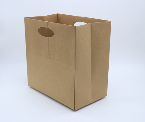 Water Proof Grocery Paper Bag Recyclable Custom Kraft Paper Moisture Proof Bag